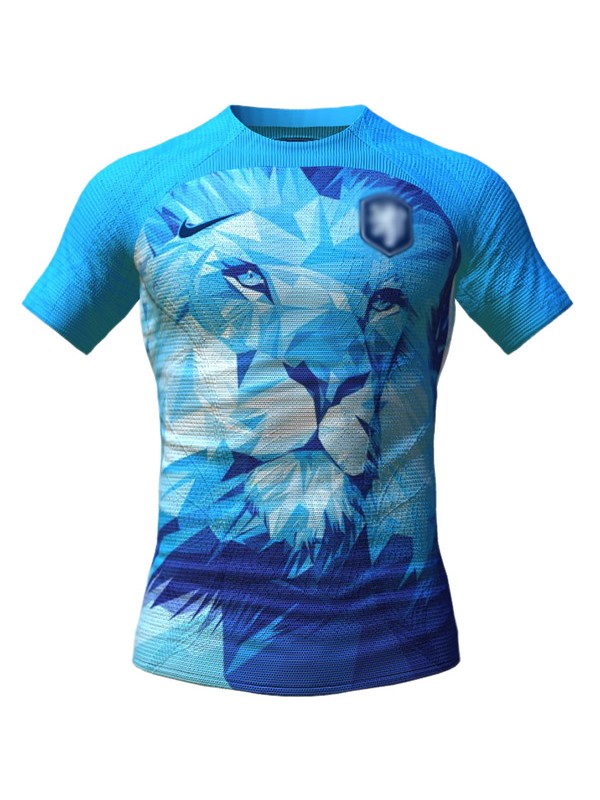 Nethlands maillot de football édition spéciale uniforme de football pour hommes bleu ciel kit de football hauts chemise de sport 2024